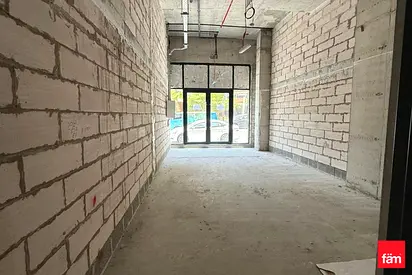 Newly Handed Over | Shell & Core | Park View