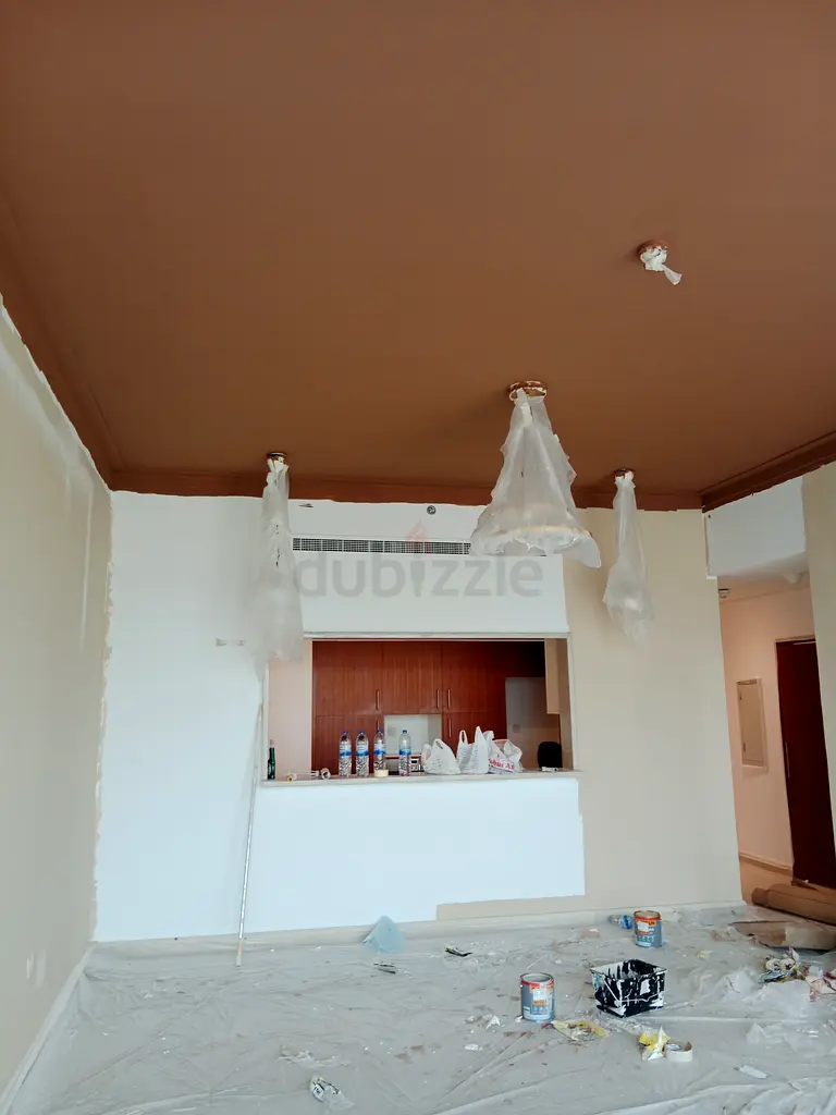 DPV_View_Image_2