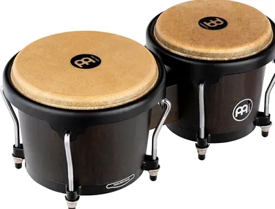 Bongo