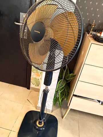 Standing Fan