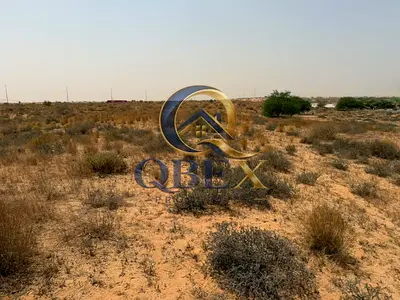 أرض استثمارية أم القيوين / الأبرق 1