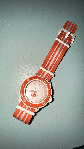 BLANCPAINXSWATCH Arctic Ocean watch