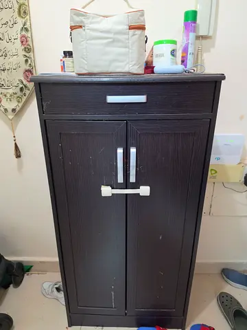 Dark Wood Two-Door Storage Cabinet / Wardrobe - Compact