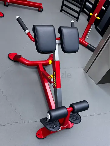 Hoist lower back extension