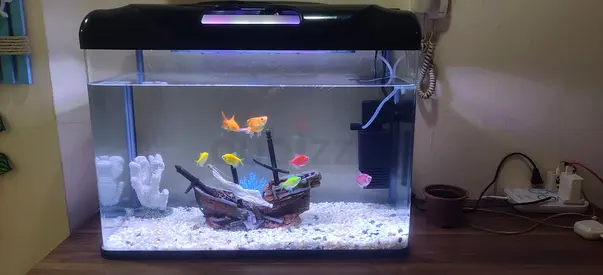Medium glass aquarium with filter, LED light and decorations