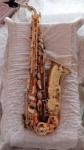 Selmer La Voic ll Alto Saxophone