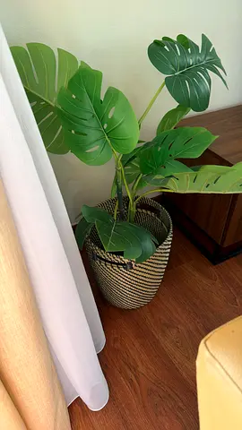 Large Artificial Monstera2  Plant ls in Woven Basket - Ready to Decorate