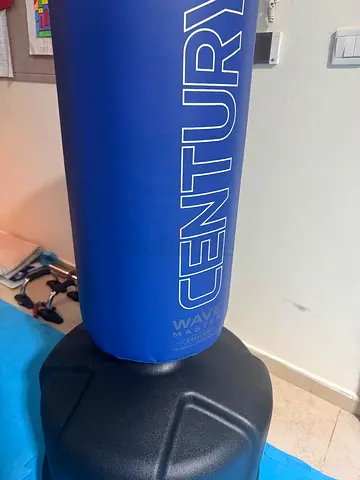 Punching Bag