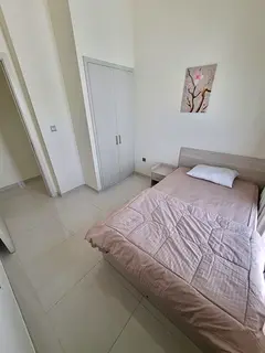 Master Bedroom in Damac Hills 2
