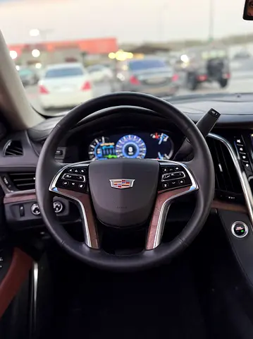 2016 Cadillac ESCALADE — миниатюра 12