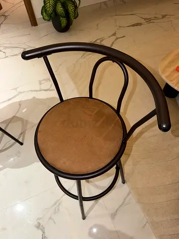 Vintage-style bentwood metal dining chair with cushion