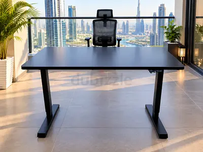 Electric Adjustable Electric Standing Desk — Large Modern Office Table