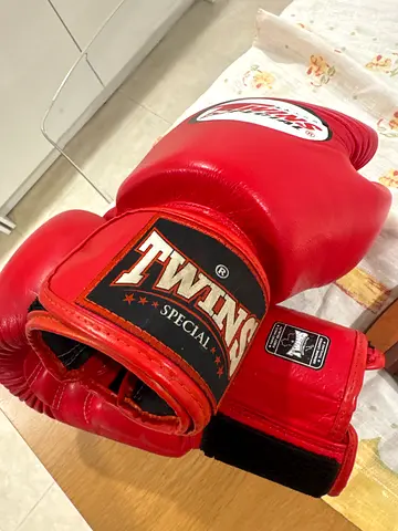 Twins Boxing Glove