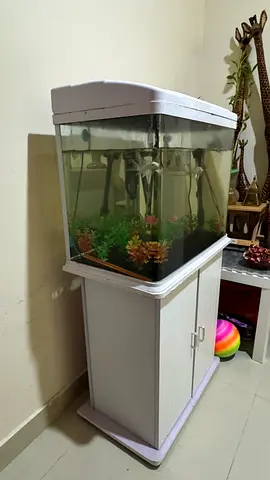 Used 3-4ft Aquarium Fish Tank with Cabinet Stand