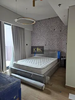 Fully Furnished | 1month Free | kitchen Appliances