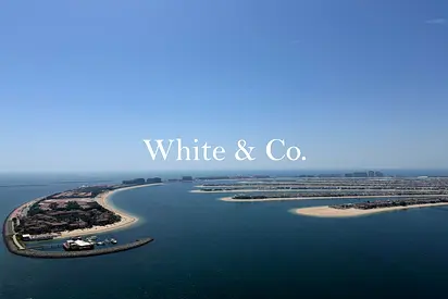 Full Palm Views | High Floor | Upgraded