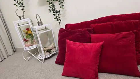 Set of 6 Burgundy Velvet Sofa Cushions - Good Condition