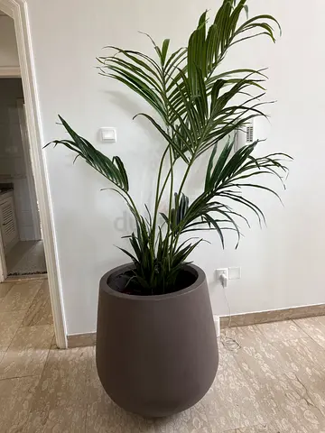 Large indoor modern taupe planter