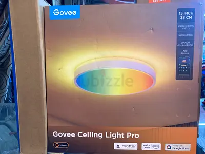 Govee smart light and Philips