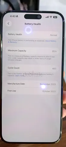 iPhone 15 Pro Max - Good Battery Health (95%), 256