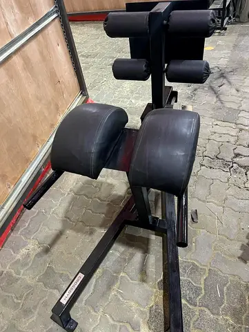 Techno Gym Lower Back Stretch