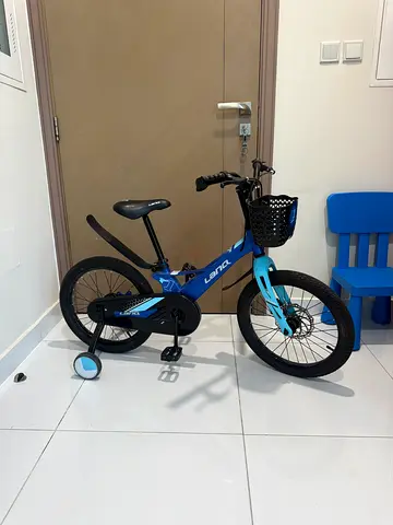 Bicycle for Children LANQ
