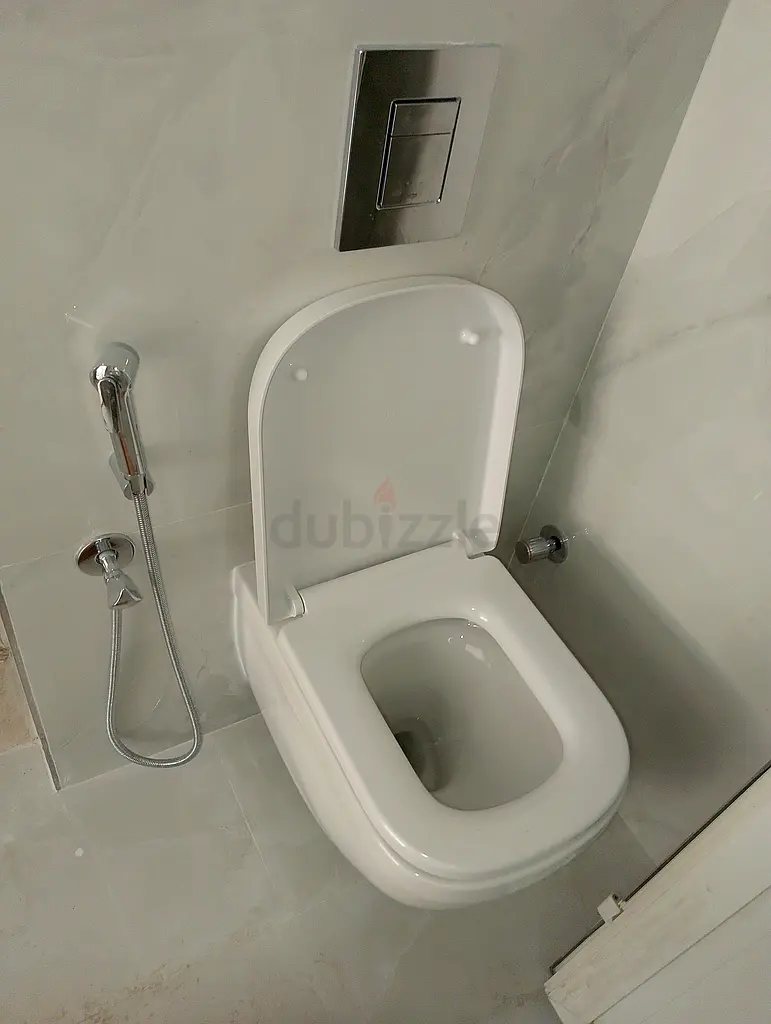 DPV_View_Image_0