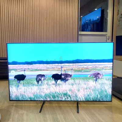 Samsung 55QN90B 55 Inch Neo QLED 4K Smart TV | 120Hz | Minor Packing Scratch