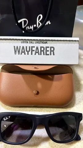 RayBan Wayfarer Meta 1