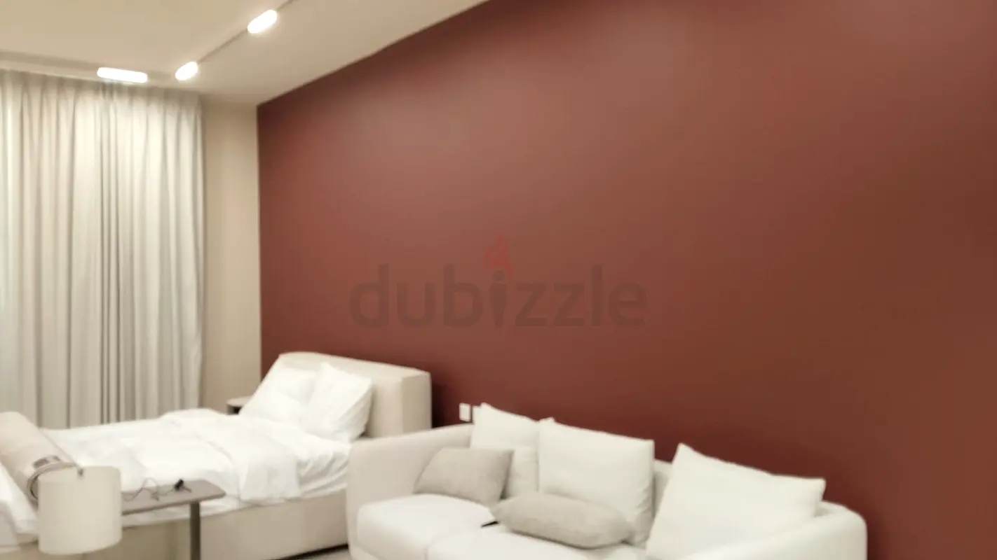 DPV_View_Image_2