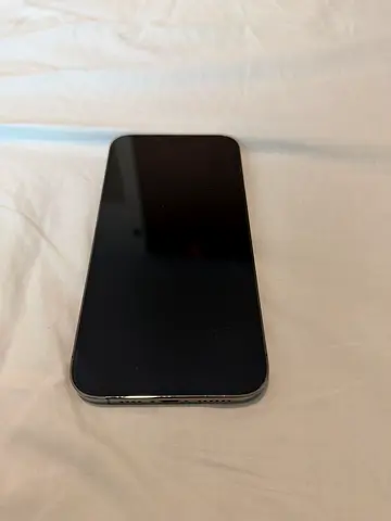 IPhone 13 Pro Max (cable and clear case  included) in good condition