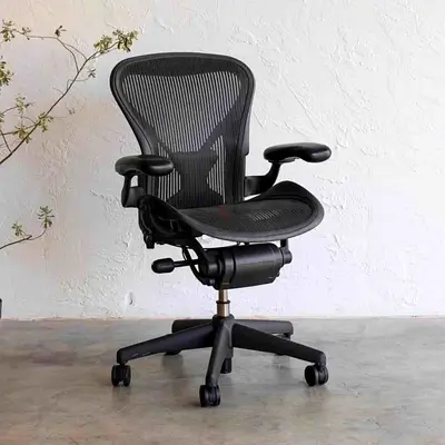 Herman Miller Ergonomic Black Mesh Office Chair (Adjustable, Swivel, Wheels)