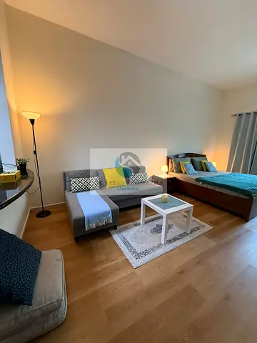 Furnished Studio | Balcony | Park & City Views