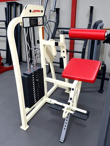 Life fitness Pro 1 Low Back Extension