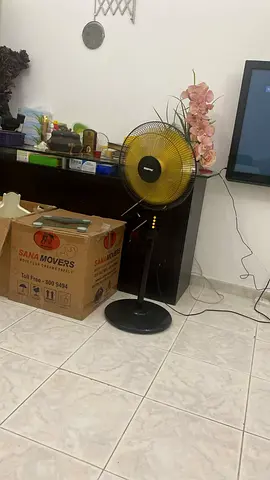 Pedestal Fan