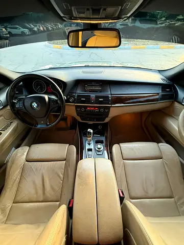 2010 BMW X5 — миниатюра 12