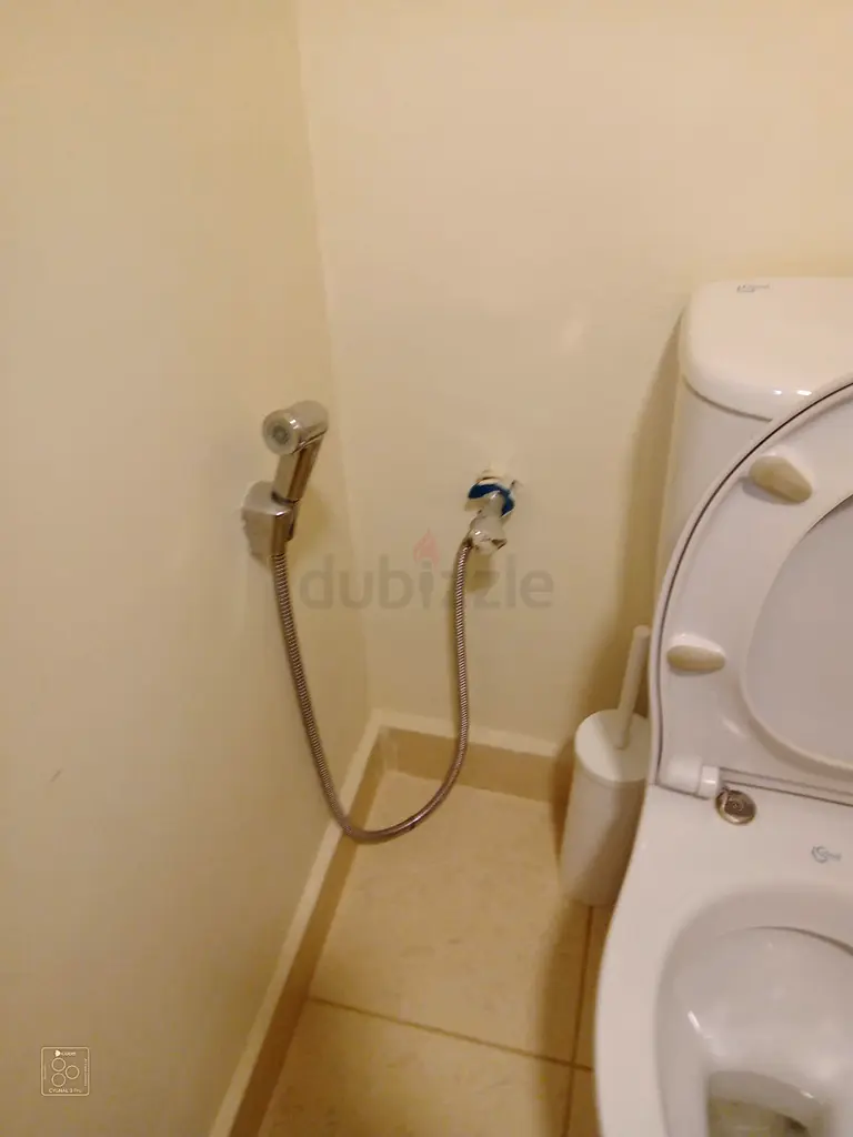 DPV_View_Image_4