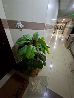 For rent in Al Taawun Sharjah, 3 bedroom apartment with central AC, master room, maid and laundry ro