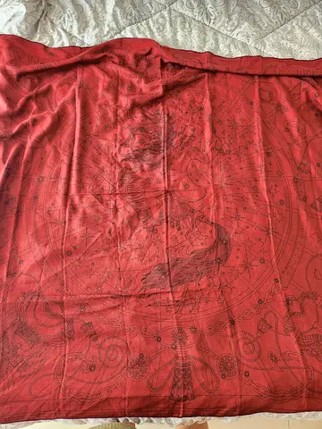 Rare Hermès Paris "C'est La Fête" Cashmere Silk Shawl (Daiske Nomura) – Burgundy / Terracotta