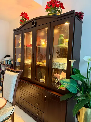 Display Cabinet with Lighting