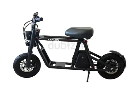 Fidu model electric scooter