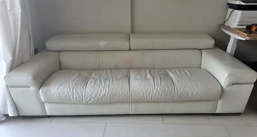 NATUZZI SOFA, WITH CAT SCARTCHING. For free