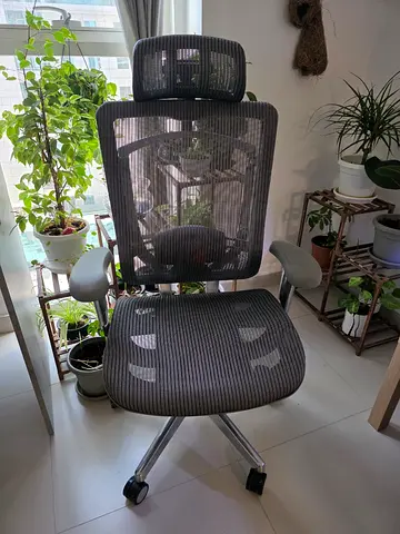 Ergonomic High Back Mesh Chair, High Back Executive Office Chair - Used
