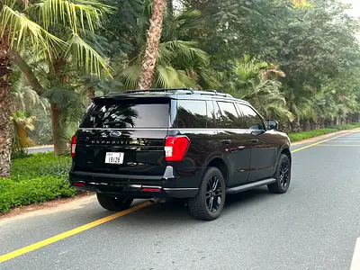 2024 FORD EXPEDITION 照片 3