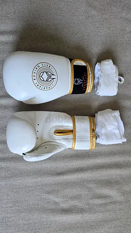 Boxing gloves 8oz for sale