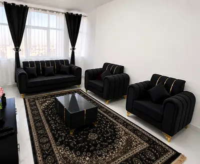 Brand new Velvet 3-Piece Sofa Set with Gold Accents and Matching Rug