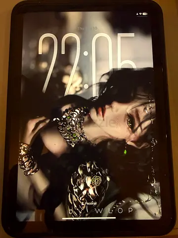 iPad mini 6th 256g