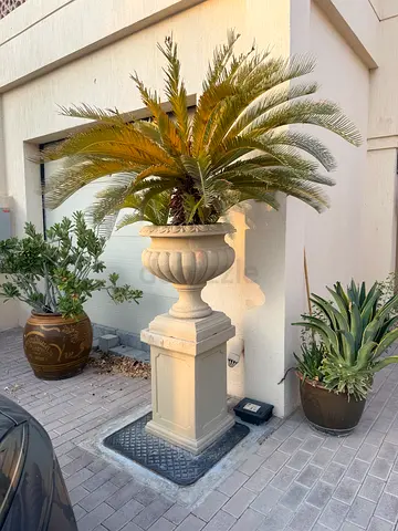 Urgent - Decorative Garden Urn Planter on Pedestal - Classic Stone Look & 4 large pots with plants