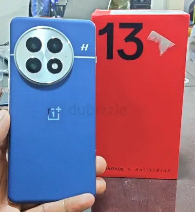 OnePlus 13