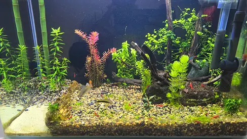Aquarium for sale